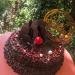 Double Layer Brownie Birthday Cake